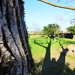 Casa Dos Ouricos * Ponte de Lima