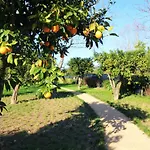 Casa Dos Ouricos Holiday home