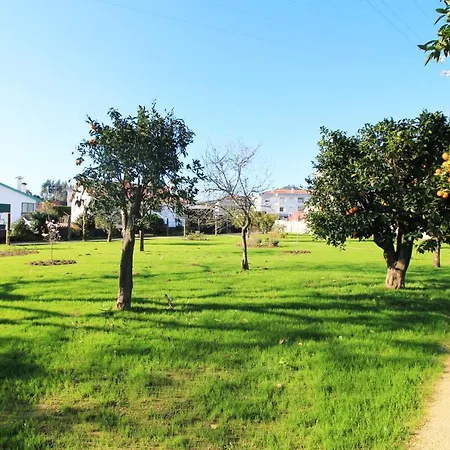 Casa Dos Ouriços Casa de Férias Ponte de Lima