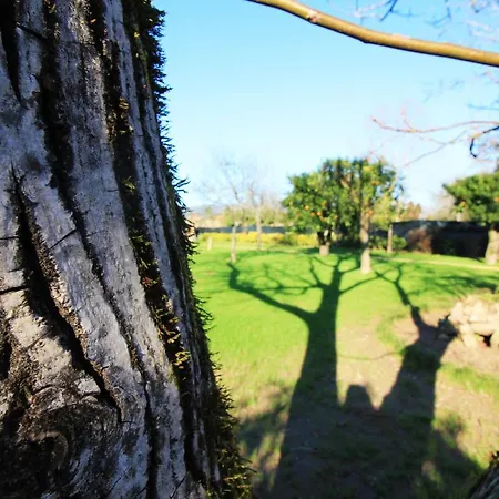 Casa Dos Ouricos * Ponte de Lima