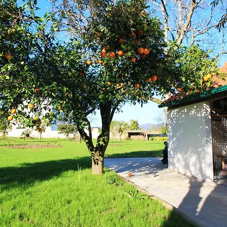 Casa Dos Ouriços Casa de Férias