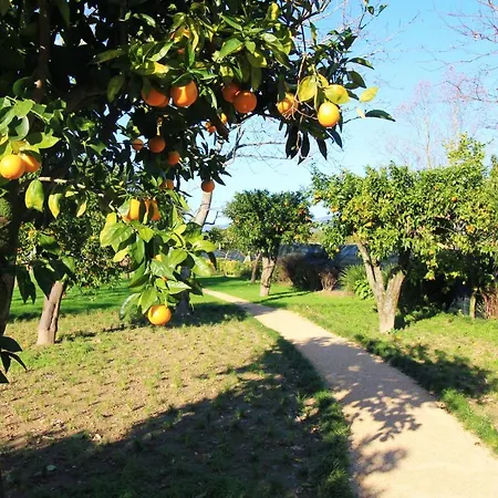 Casa Dos Ouriços Hébergement de vacances