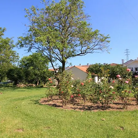 Casa Dos Ouricos * פונטה דה לימה
