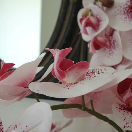 Casa Dos Ouricos Holiday home