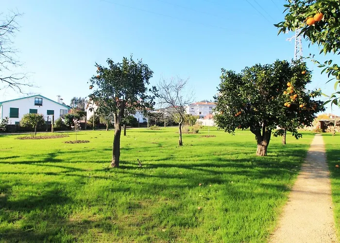 Casa Dos Ouricos بيت للعطل بونتي دي ليما