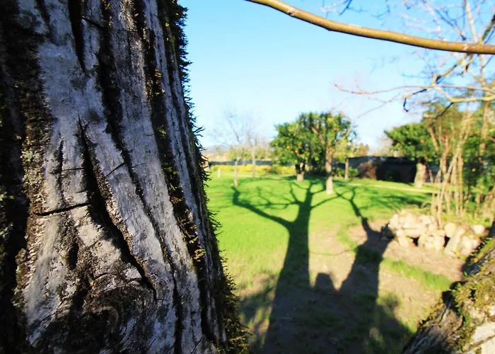 Casa Dos Ouricos * Ponte de Lima