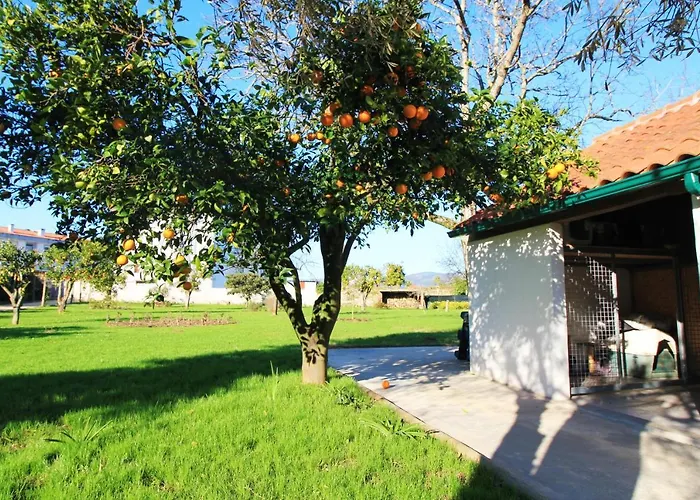 Casa Dos Ouricos Vakantiehuis