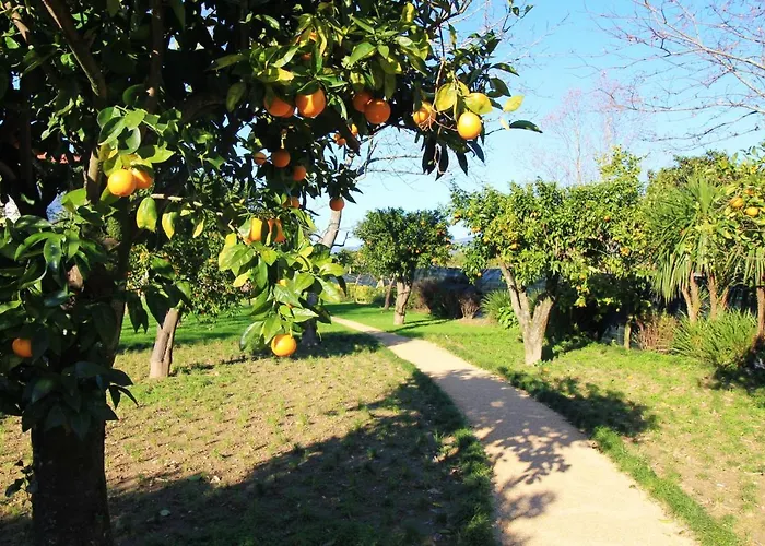 Casa Dos Ouricos בית נופש