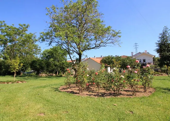 Casa Dos Ouricos * פונטה דה לימה