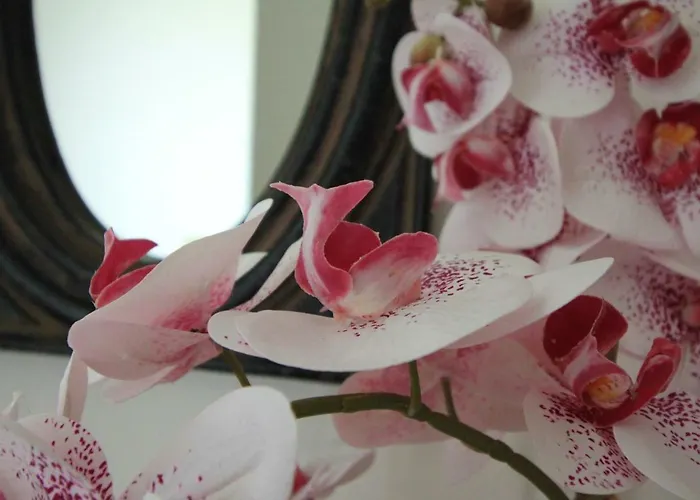 Casa Dos Ouricos بيت للعطل